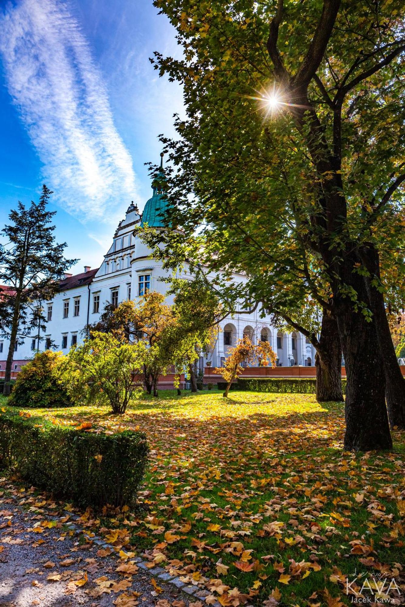 Zamek W Baranowie Sandomierskim Баранув-Сандомерский Экстерьер фото